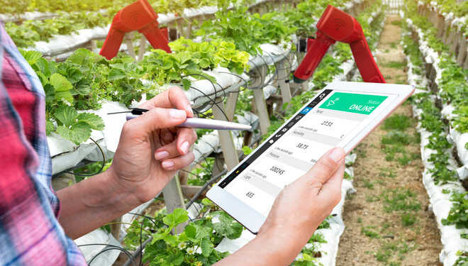 Experts: Technology must to boost agriculture sector