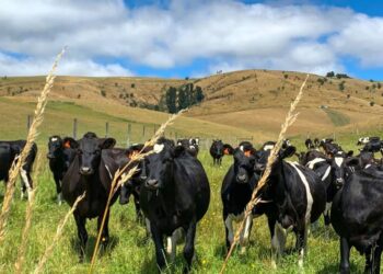 National vows to keep agriculture out of Emissions Trading Scheme