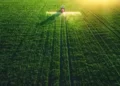 About 27.89 lakh ha area coverage under summer rice has been reported against 29.80 lakh ha last year while that of oilseeds is 9.6 lakh ha area this year compared with 10.85 lakh ha last year. Read more at: https://economictimes.indiatimes.com/news/economy/agriculture/summer-crop-area-marginally-down-yoy/articleshow/100217785.cms?utm_source=contentofinterest&utm_medium=text&utm_campaign=cppst