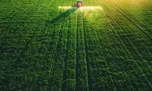About 27.89 lakh ha area coverage under summer rice has been reported against 29.80 lakh ha last year while that of oilseeds is 9.6 lakh ha area this year compared with 10.85 lakh ha last year. Read more at: https://economictimes.indiatimes.com/news/economy/agriculture/summer-crop-area-marginally-down-yoy/articleshow/100217785.cms?utm_source=contentofinterest&utm_medium=text&utm_campaign=cppst
