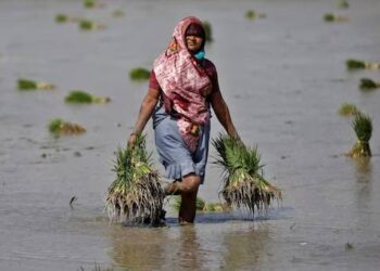 Challenges faced by farmers due to climate change have further exacerbated the food insecurity situation across India