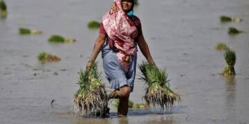 Challenges faced by farmers due to climate change have further exacerbated the food insecurity situation across India