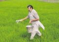 Six fertilliser stock trade in green with FACT share price zooming over 14% Here's why