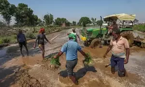 India's cabinet raises MSP for summer-sown crops including cotton