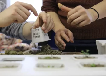 Vertical farming brings a lot of advantages to urban agriculture