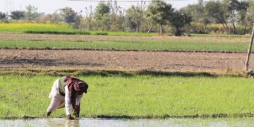 Farmers To Get Rs 300000 Loan At 4 Per Cent Under Kisan Credit Card Scheme