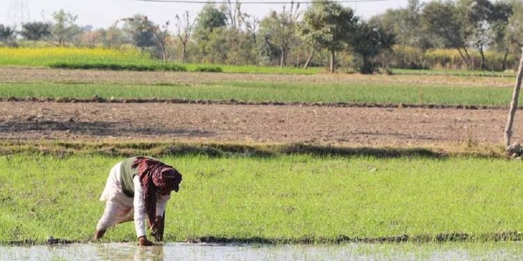 Farmers To Get Rs 300000 Loan At 4 Per Cent Under Kisan Credit Card Scheme