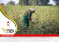 For Small Cotton Farmers In India And China, Lack Of Water Availability Top Concern