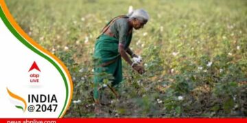 For Small Cotton Farmers In India And China, Lack Of Water Availability Top Concern