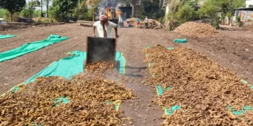 Expert Panel Recommends Legal Framework For MNI Platform