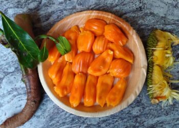The unique characteristic of the new variety is that it is not only tasty and nutritious but also suitable for commercial processing for making products like jam, squash and fruit bar.