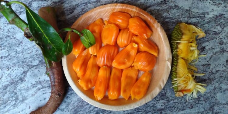 The unique characteristic of the new variety is that it is not only tasty and nutritious but also suitable for commercial processing for making products like jam, squash and fruit bar.