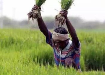 Despite agricultural reforms in state, farmers battle for sustenance