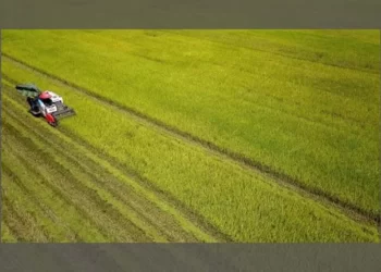 The agricultural sector strives to successfully achieve the set targets.