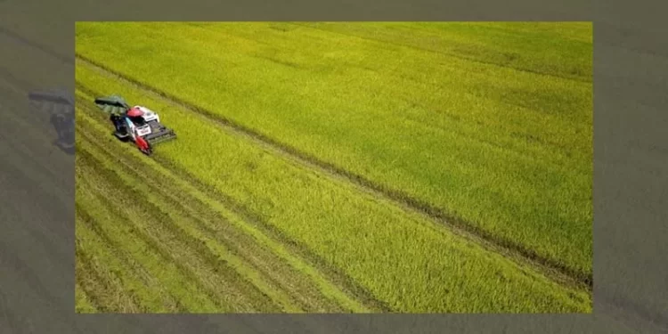 The agricultural sector strives to successfully achieve the set targets.