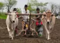 Niti Aayog pitches for reforms, more private sector role in agri sector