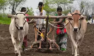 Niti Aayog pitches for reforms, more private sector role in agri sector