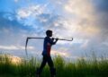 Soil health crisis: Urgent reforms needed for sustainable agriculture