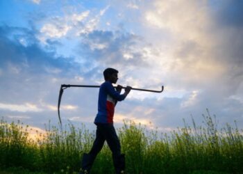 Soil health crisis: Urgent reforms needed for sustainable agriculture