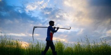 Soil health crisis: Urgent reforms needed for sustainable agriculture