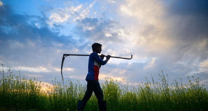 Soil health crisis: Urgent reforms needed for sustainable agriculture