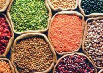 India loses approximately 30 percent of its agricultural produce due to post-harvest losses annually.