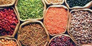 India loses approximately 30 percent of its agricultural produce due to post-harvest losses annually.