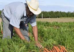 Agriculture producers to gather at the Nevada Small Agriculture Conference