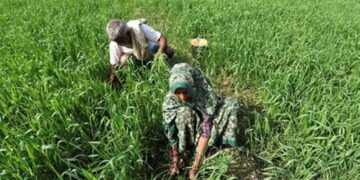 Promote organic farming to boost soil health, says Mandaviya