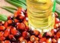 State govts, oil palm firms launch mega drive till Aug 12 to increase oil palm cultivation