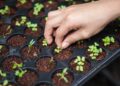 Explained: How D2C Organic Farming Is Also Empowering Local Communities