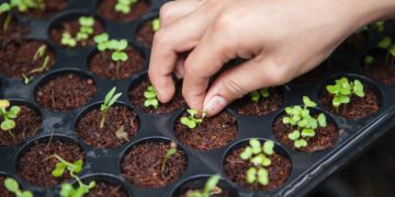 Explained: How D2C Organic Farming Is Also Empowering Local Communities