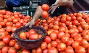 The prices of tomatoes have risen 326.13% in the last one month, according to the government’s own data. Read more at: https://economictimes.indiatimes.com/news/economy/agriculture/dept-of-consumer-affairs-to-procure-tomatoes-from-ap-ktaka-maharashtra-amid-price-rise/articleshow/101691538.cms?utm_source=contentofinterest&utm_medium=text&utm_campaign=cppst