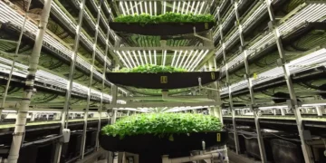 Lean times hit the vertical farming business