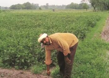 Rajasthan government bets on investment in agriculture-based industries