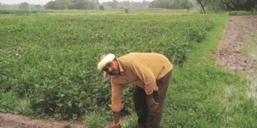 Rajasthan government bets on investment in agriculture-based industries