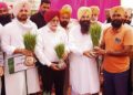Agriculture Minister Gurmeet Singh Khudian distributes paddy saplings among flood-affected farmers on Saturday. RAJESH SACHAR