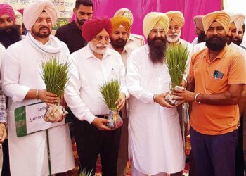 Agriculture Minister Gurmeet Singh Khudian distributes paddy saplings among flood-affected farmers on Saturday. RAJESH SACHAR
