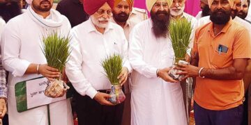 Agriculture Minister Gurmeet Singh Khudian distributes paddy saplings among flood-affected farmers on Saturday. RAJESH SACHAR
