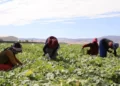 Annual growth in agriculture input costs slows