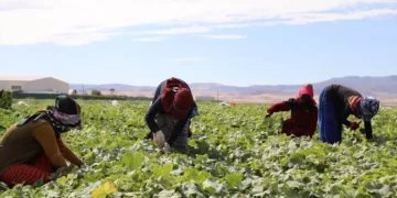 Annual growth in agriculture input costs slows