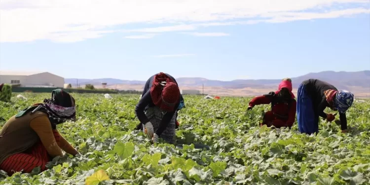 Annual growth in agriculture input costs slows