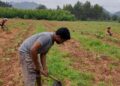 After 15 years as a daily wager, an agricultural labourer from the Kondh tribe will study to be a doctor