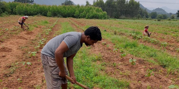 After 15 years as a daily wager, an agricultural labourer from the Kondh tribe will study to be a doctor