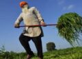 2023 will be a crisis year for agriculture, rural demand to stay stagnant till 2024: Economist Bhanumurthy