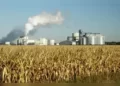 Ethanol is an agro-based product, mainly produced from a by-product of the sugar industry, namely molasses. Read more at: https://economictimes.indiatimes.com/news/economy/agriculture/prioritising-grain-based-ethanol-in-bihar-and-mp-has-increased-losses-of-molasses-based-ethanol-manufacturers-says-isma/articleshow/102293861.cms?utm_source=contentofinterest&utm_medium=text&utm_campaign=cppst