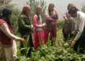 Farmers from Himachal's Lahaul-Spiti Shed Light On Various Losses They've Suffered Due to Relentless Rains