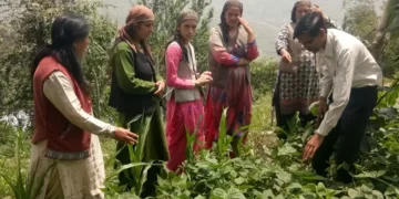 Farmers from Himachal's Lahaul-Spiti Shed Light On Various Losses They've Suffered Due to Relentless Rains