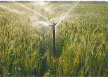 China activates Level III emergency response for major agricultural disasters