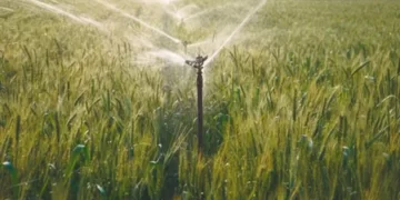 China activates Level III emergency response for major agricultural disasters